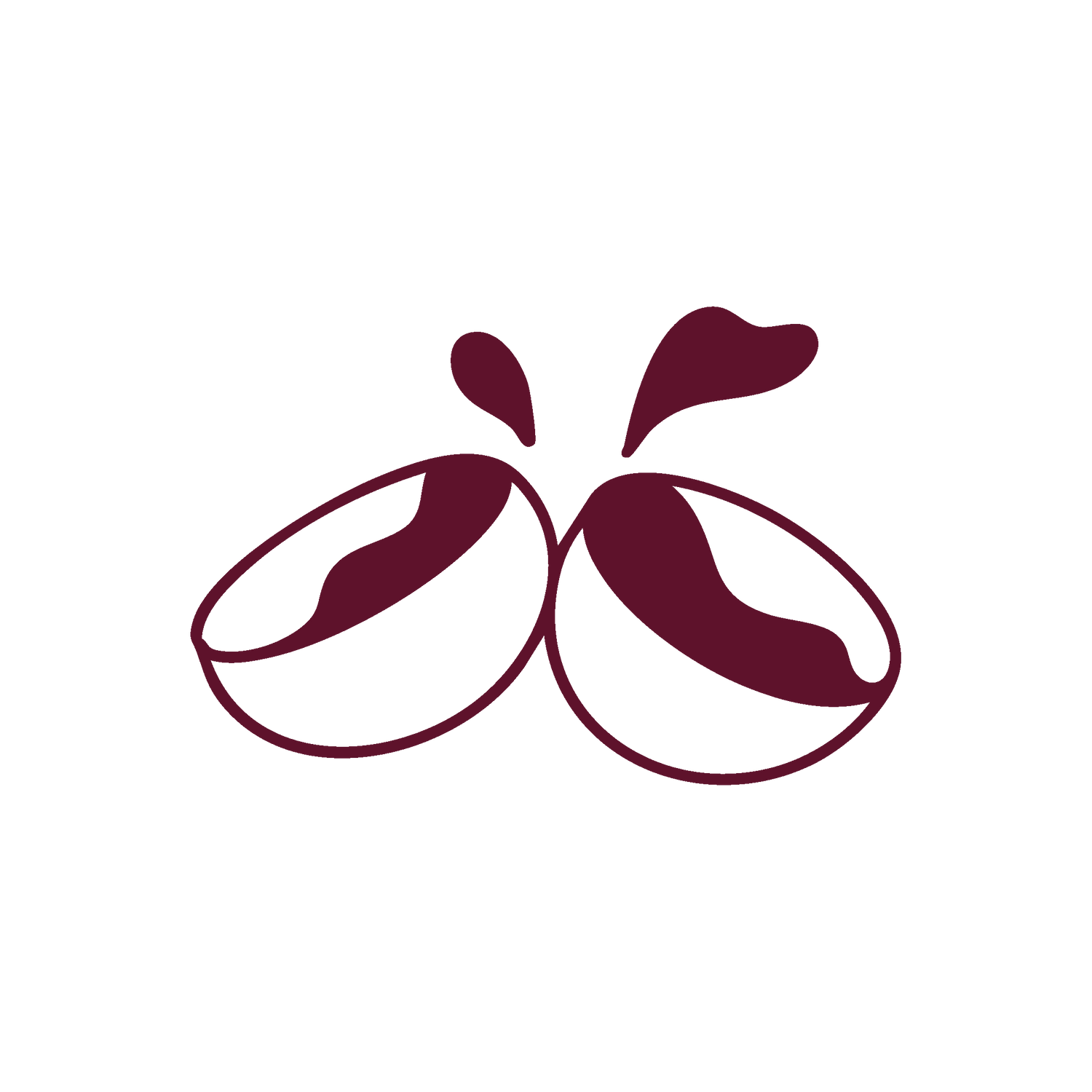 How to prepare your Kava in Europe